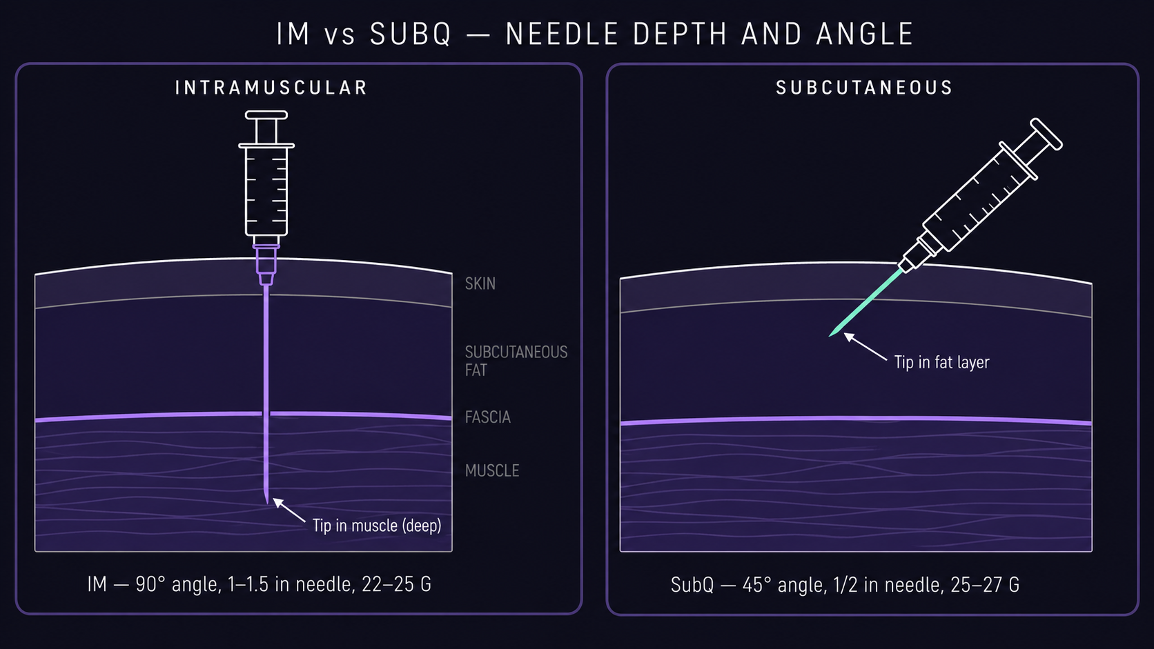Side-by-side cross-section comparing IM (90° angle, long needle, tip in muscle) and SubQ (45° angle, short needle, tip in fat layer) injection geometry through skin, subcutaneous fat, fascia, and muscle